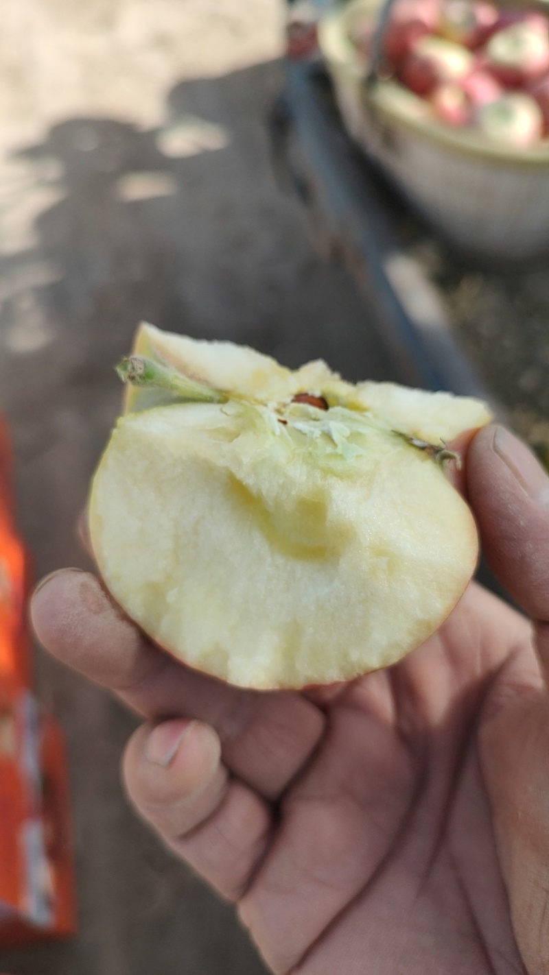 新疆阿克苏冰糖心红富士苹果