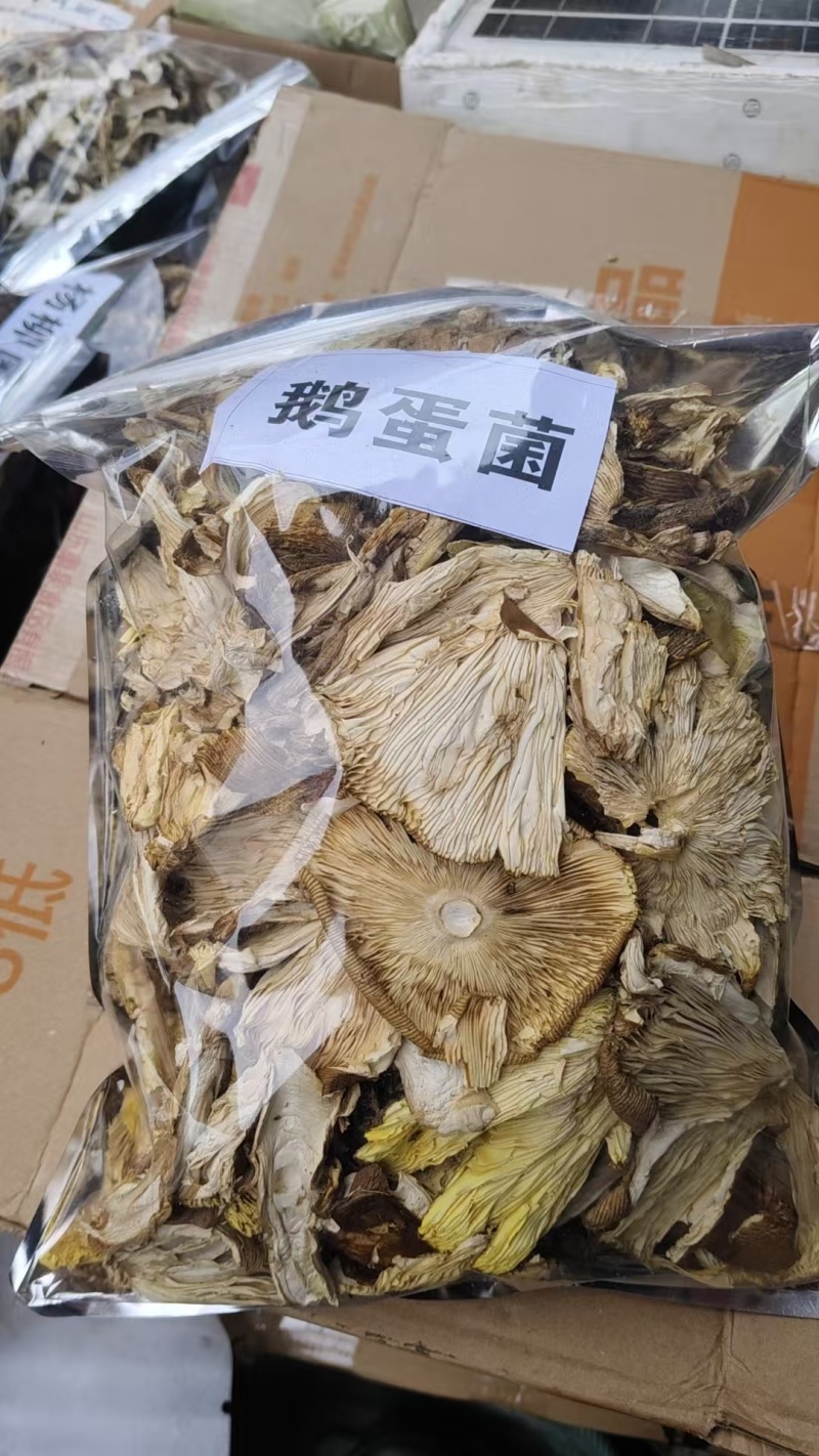 四川阿坝州高海拔野生菌干货批发，货源稳定，保质