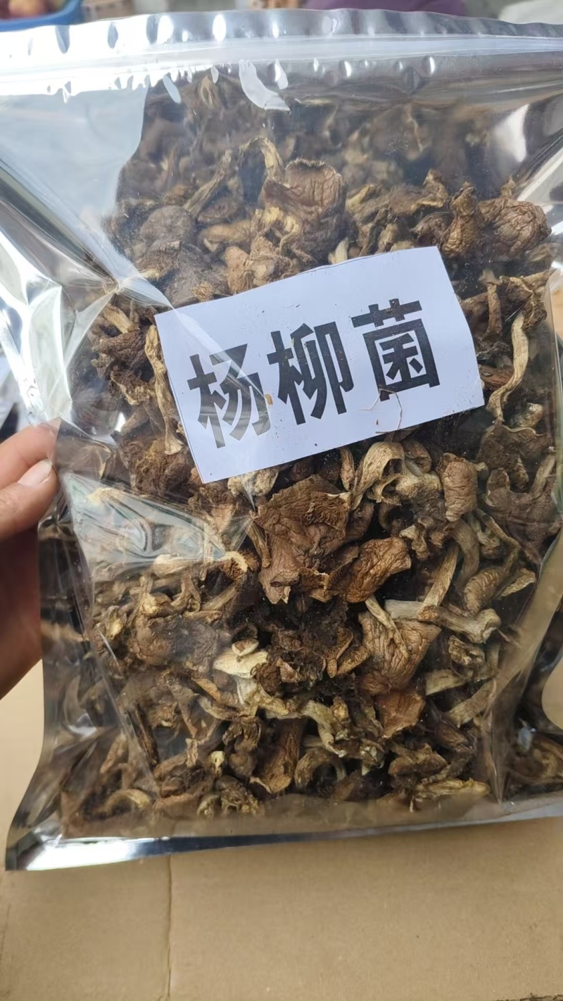 四川阿坝州高海拔野生菌干货批发，货源稳定，保质