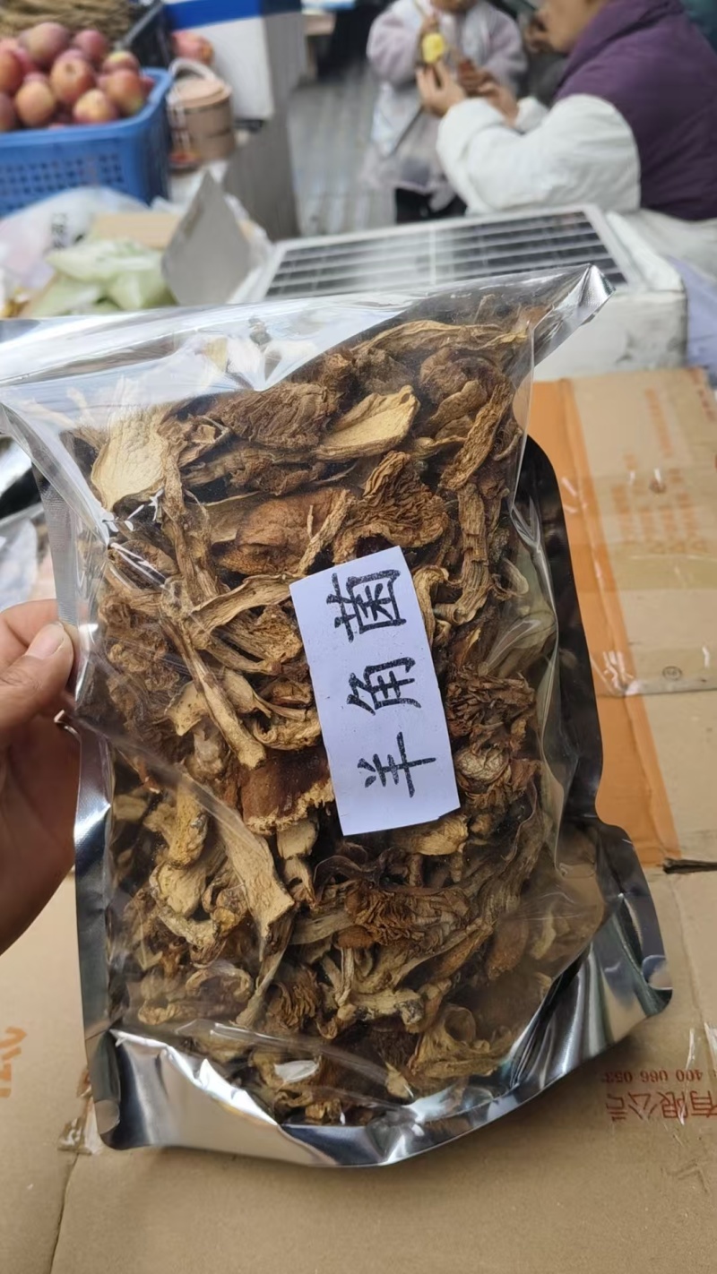 四川阿坝州高海拔野生菌干货批发，货源稳定，保质