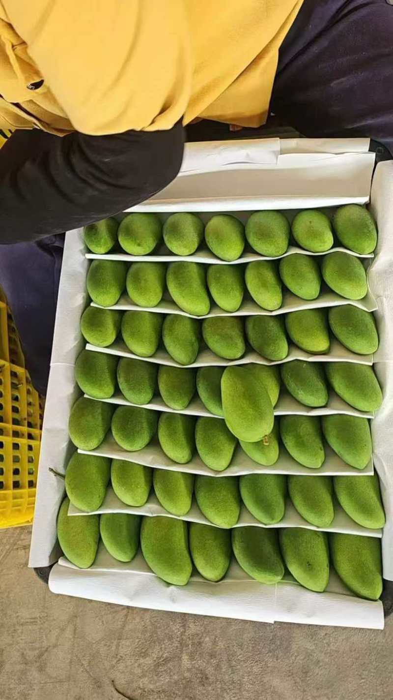 小台芒正宗海南果园一件代发