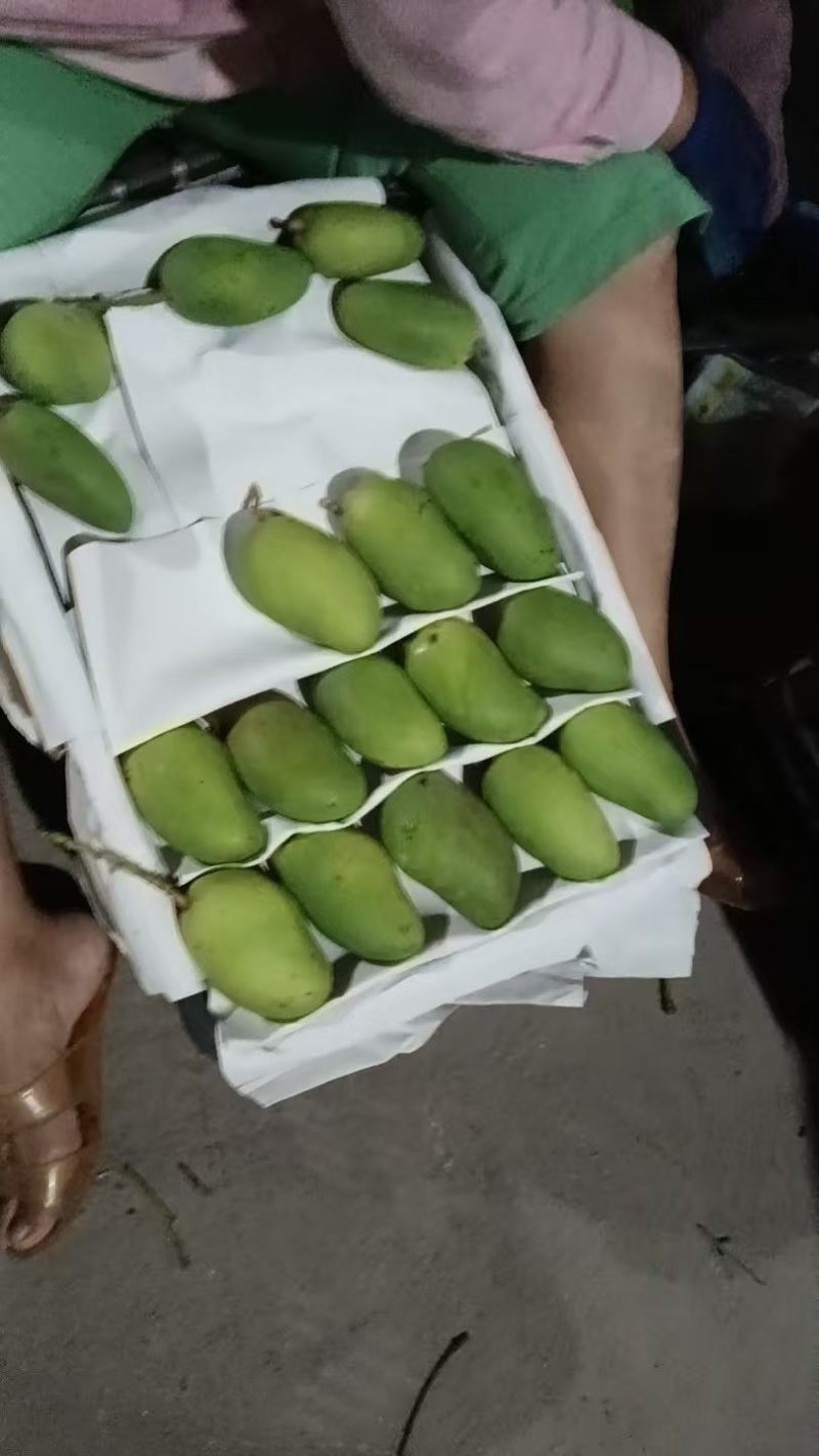 小台芒正宗海南果园一件代发