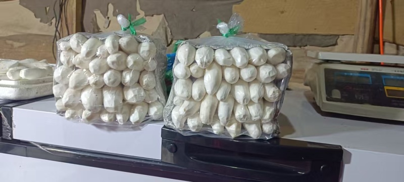 鸡腿菇