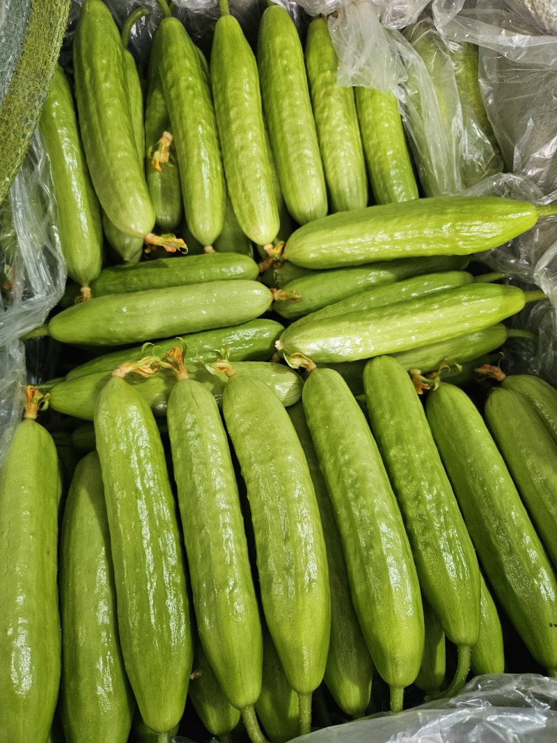 奶油黄瓜