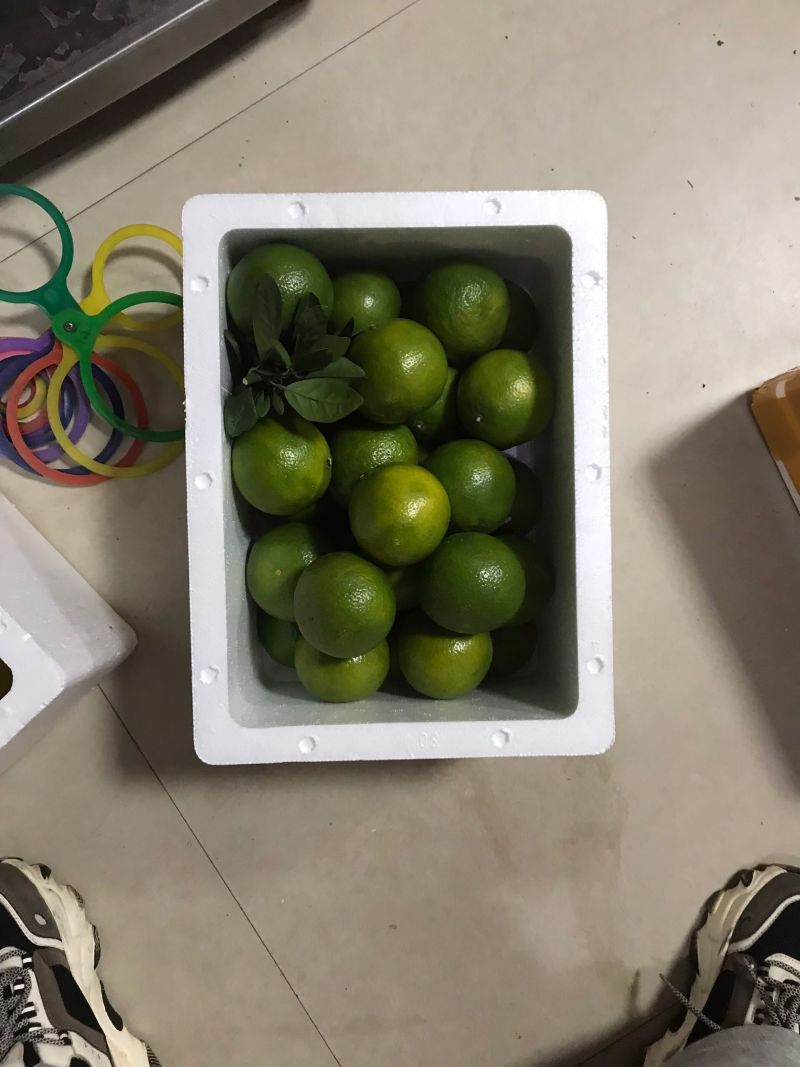 广西武鸣正宗皇帝柑