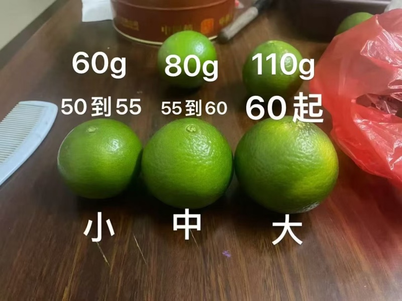 广西武鸣正宗皇帝柑