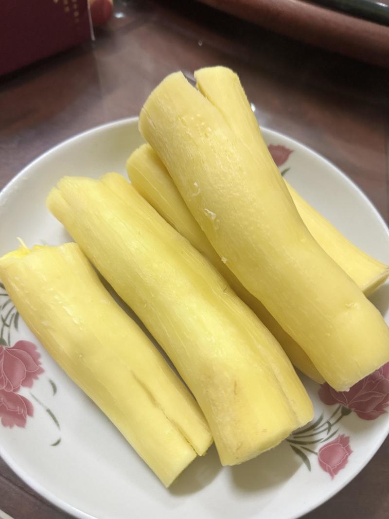 广西灵山华南9号木薯