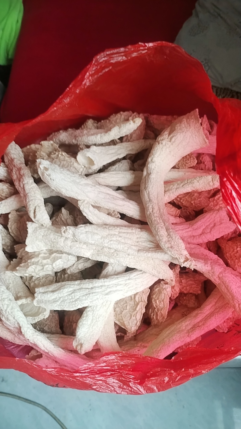 贵州大方冬荪