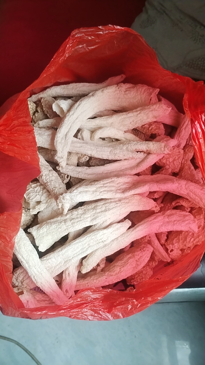 贵州大方冬荪