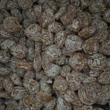 李饼雅色，暗色，暗红，厂直销