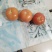 硬粉西红柿大量上市
