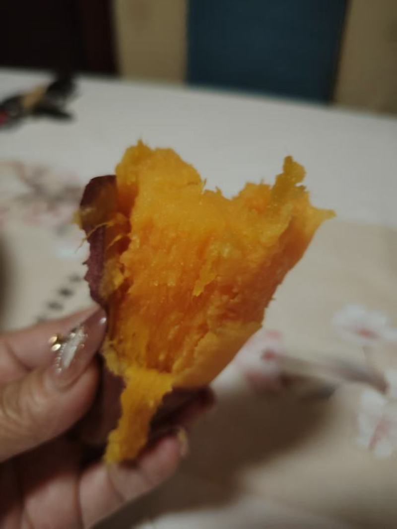 山东禹城市烟薯25