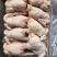 淘汰蛋鸡550天以上，纯干去双管免洗，出肉率高