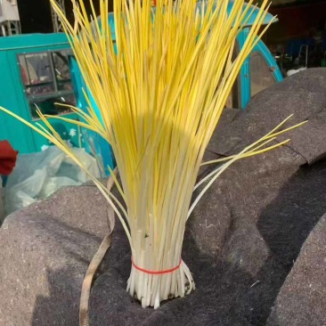当季鲜菜，黄金诱人，不沾泥土，色泽金黄透明像金条一样。