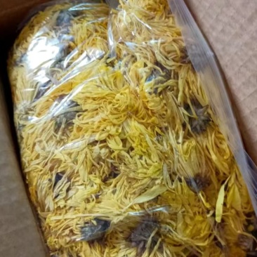 金丝菊