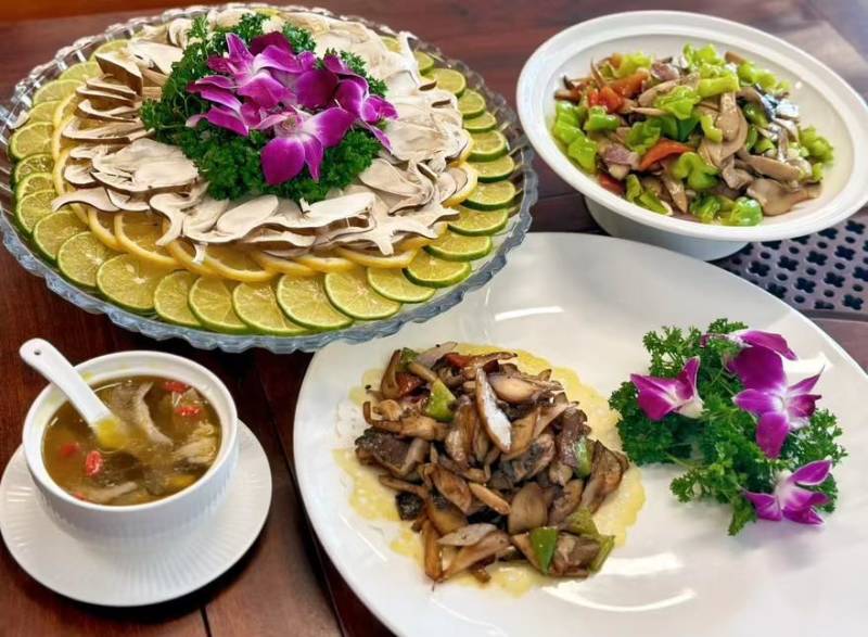 云南“云鸡枞”鲜货