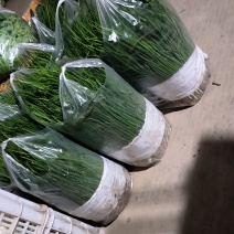 35公分