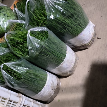 35公分