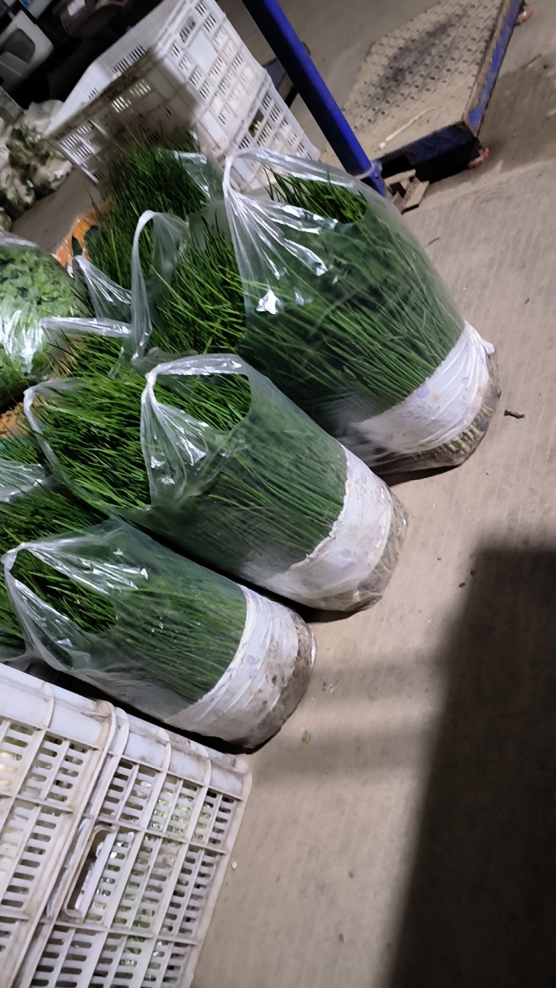 35公分