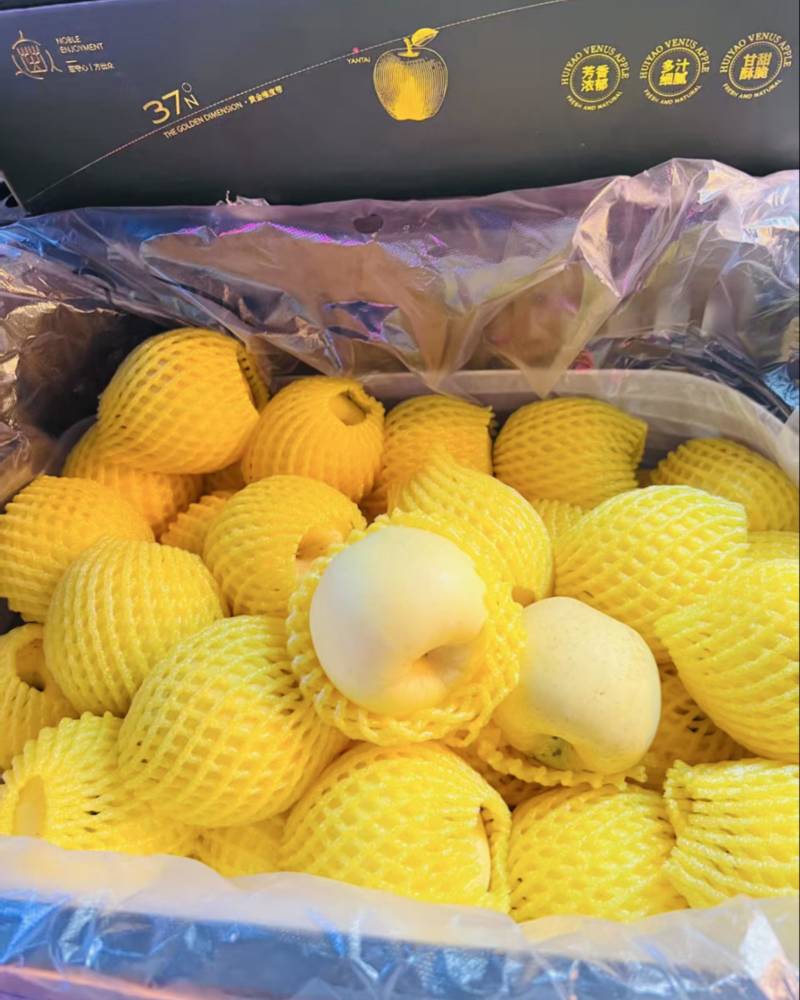 精品黄金维纳斯苹果，产地直发！