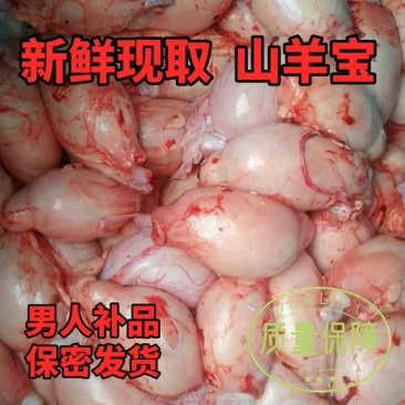 羊宝，羊蛋，羊睾丸水洗无杂质