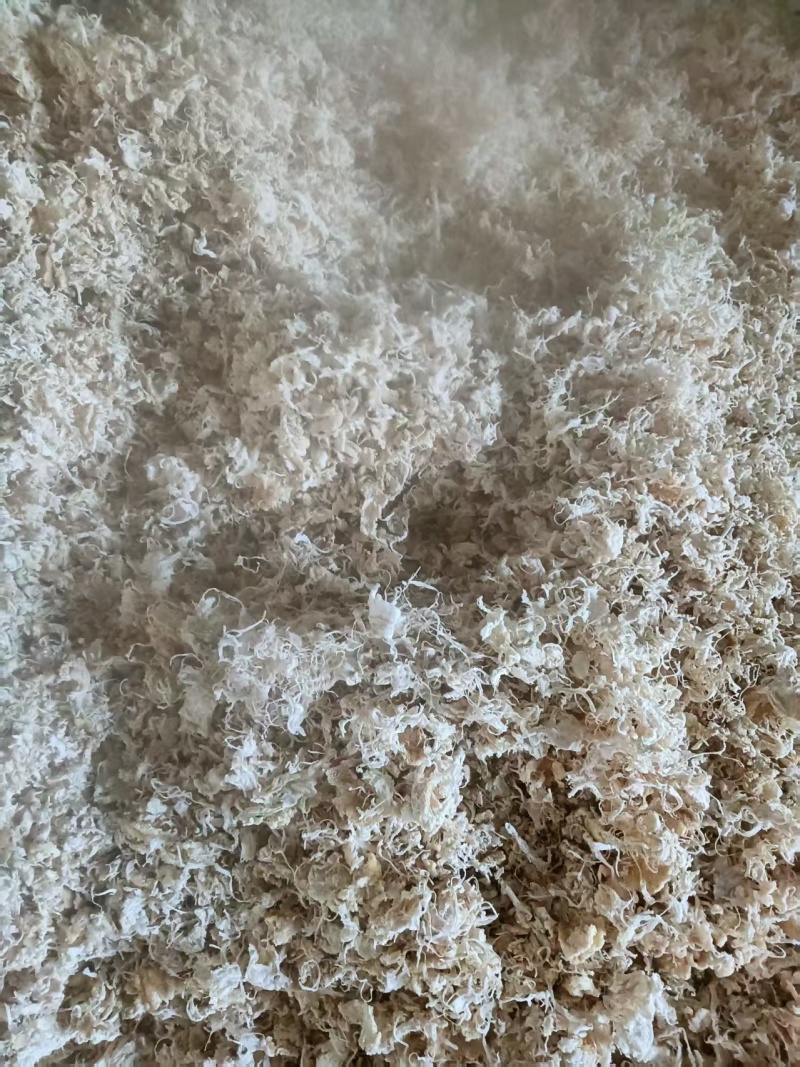 柑子筋出售