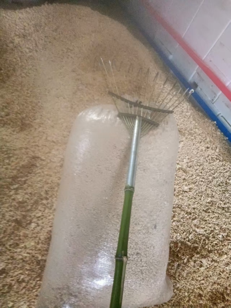 柑子筋出售