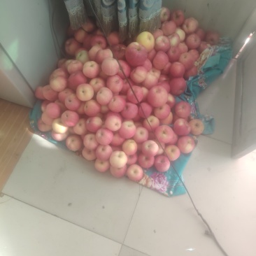 苹果