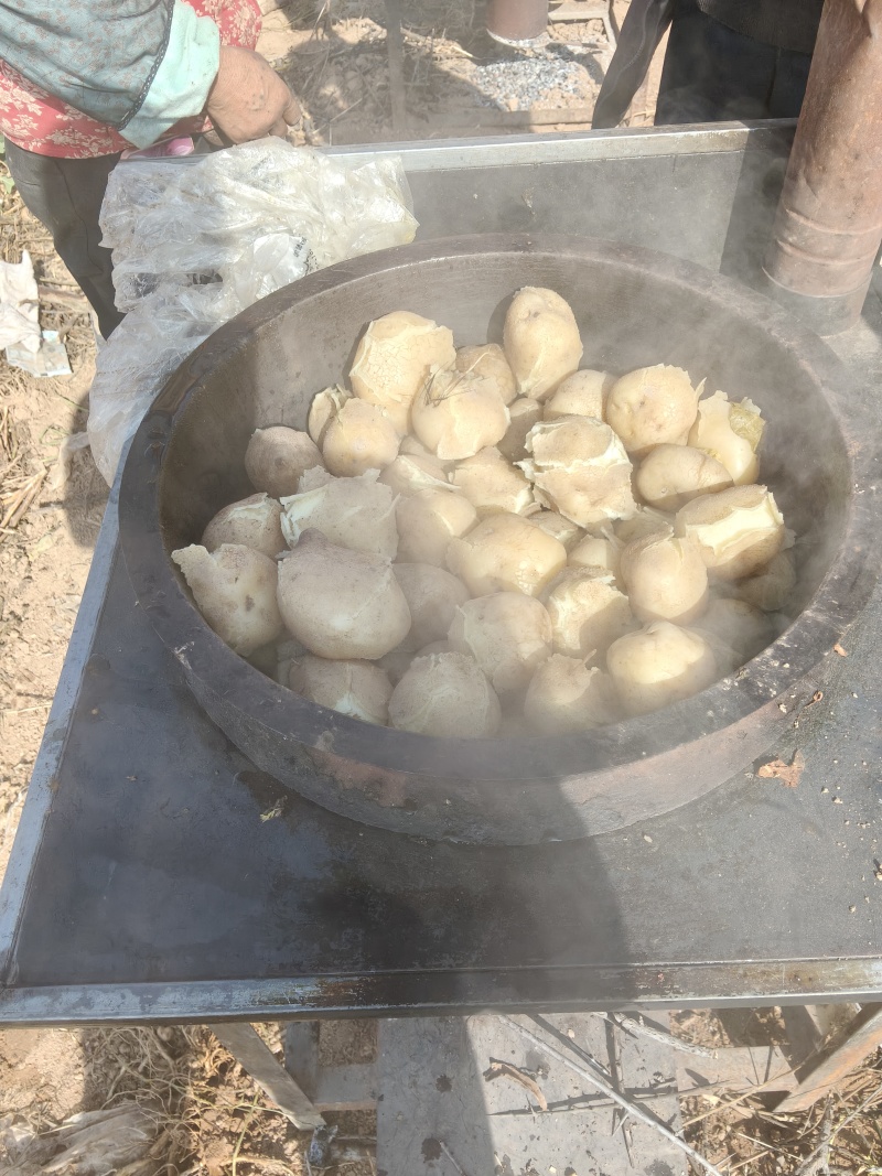 青海土豆3两起步精品麻皮土豆需要的老板连系200吨现货
