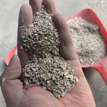 贝壳粉厂家直销颗粒粉状各种型号