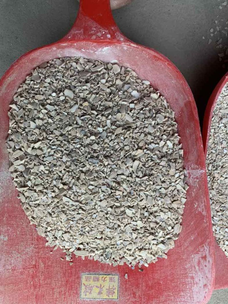 贝壳粉厂家直销颗粒粉状各种型号
