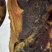 新疆额敏竹盐风干肉
