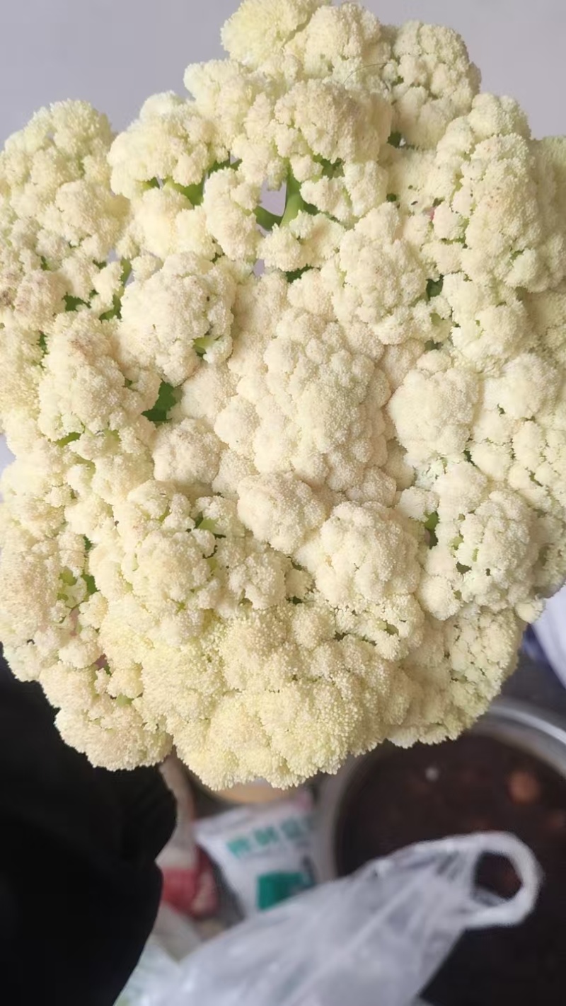 有机菜花
