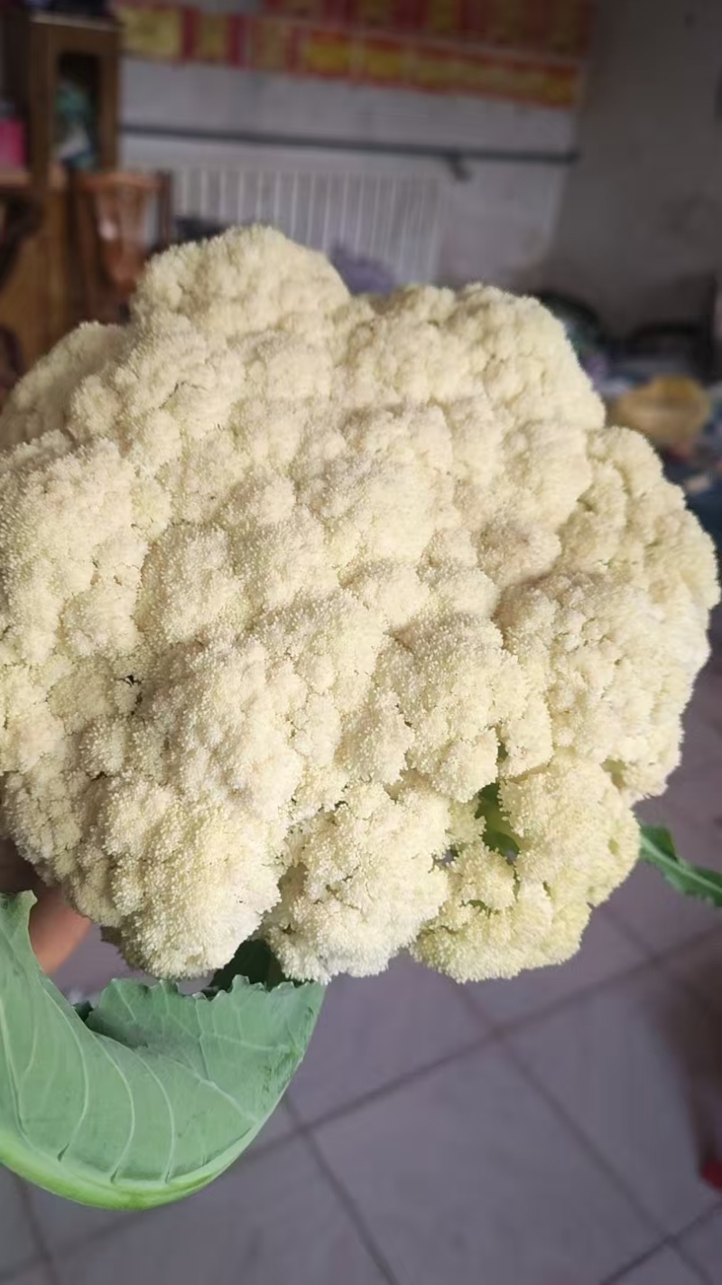 有机菜花
