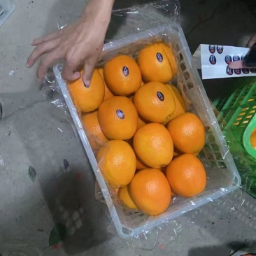 橙子精品纽荷尔，大量有货品质保证