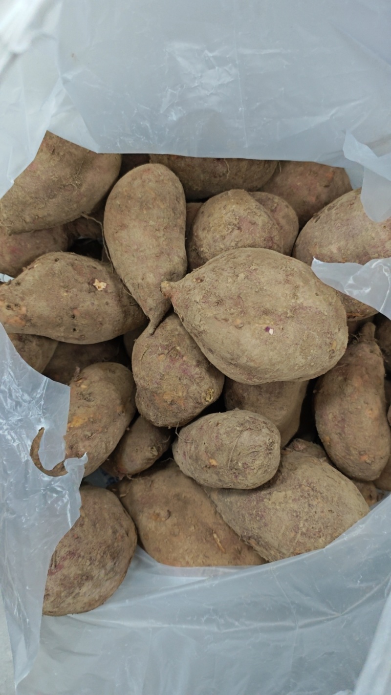 红薯，品质好，软糯，几百斤在武汉，有几千斤在鄂州地里