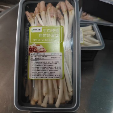花生芽、豌豆苗