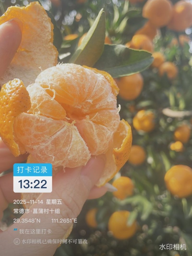 南丰蜜桔