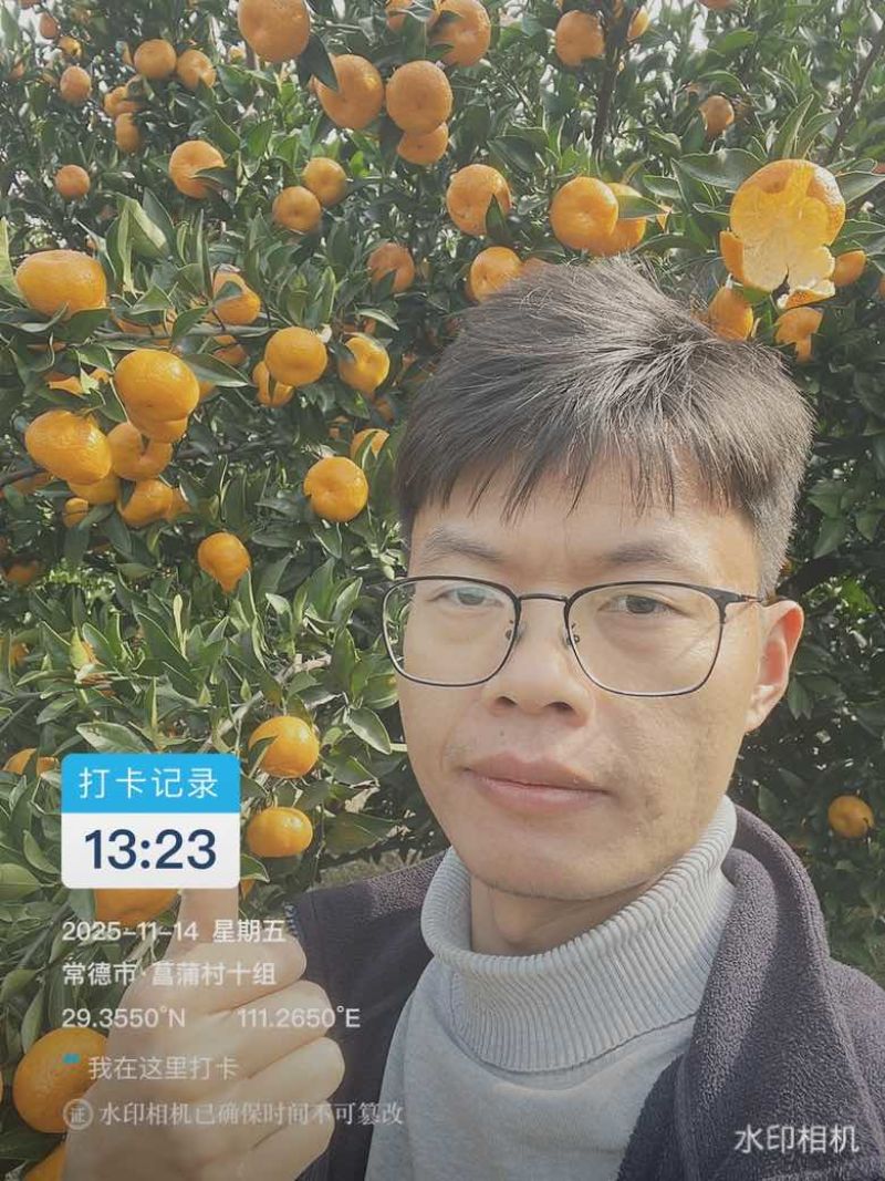 南丰蜜桔