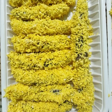 椒盐酥脆海参