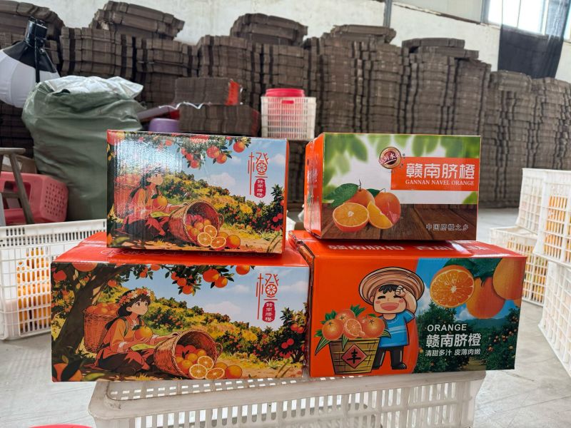 江西省赣州市安远脐橙