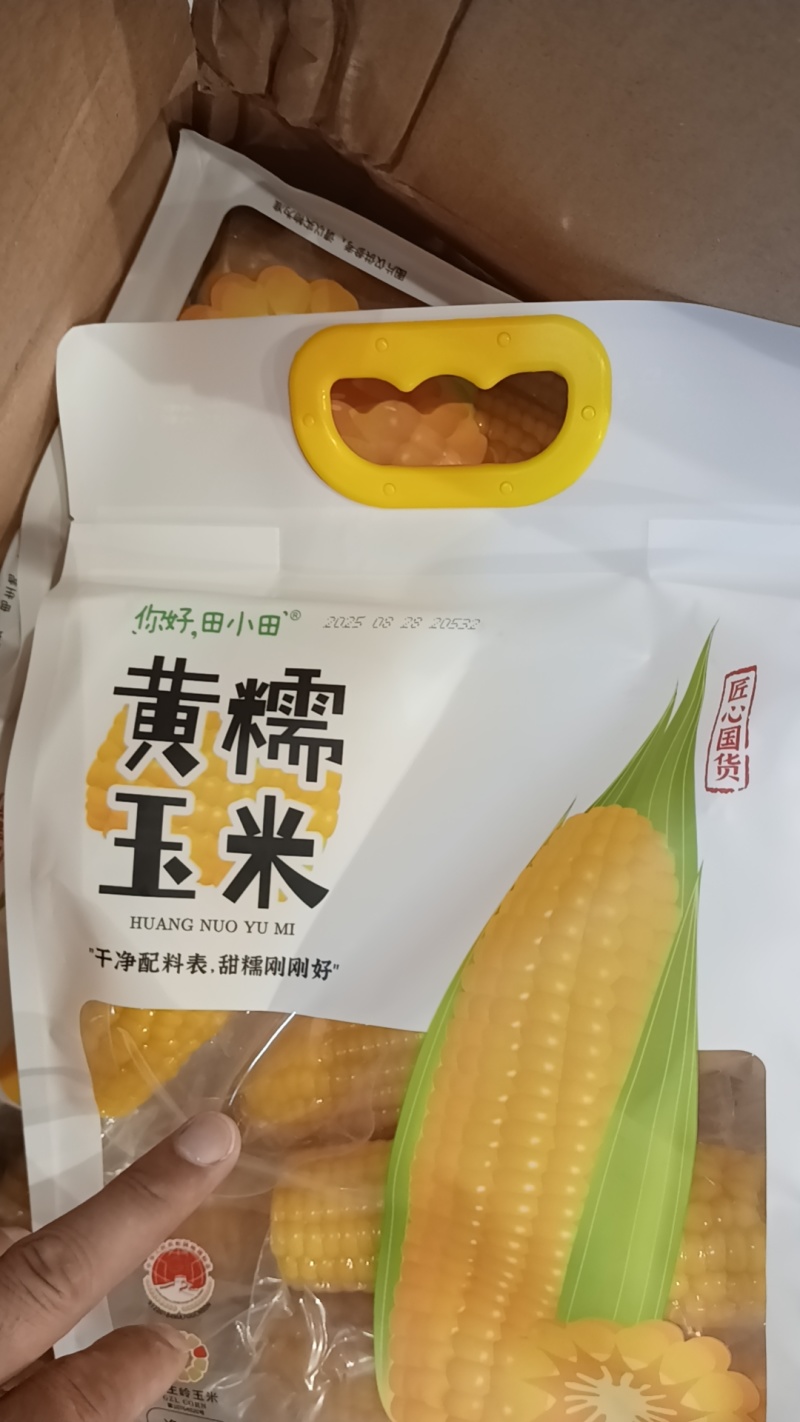 东北黑土地甜糯玉米
