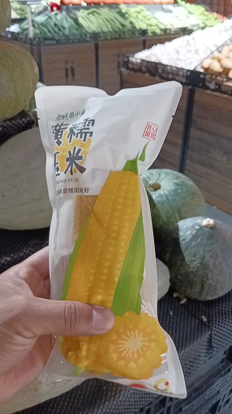 东北黑土地甜糯玉米