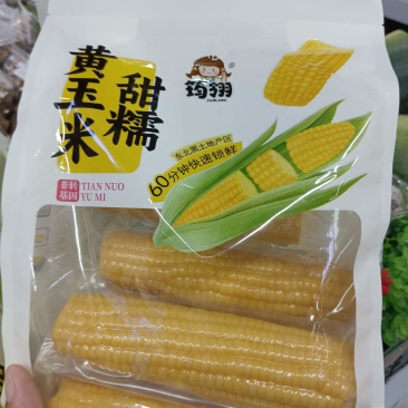 东北黑土地甜糯玉米