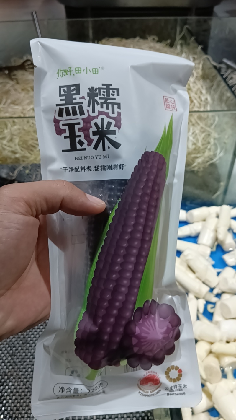 东北黑土地甜糯玉米
