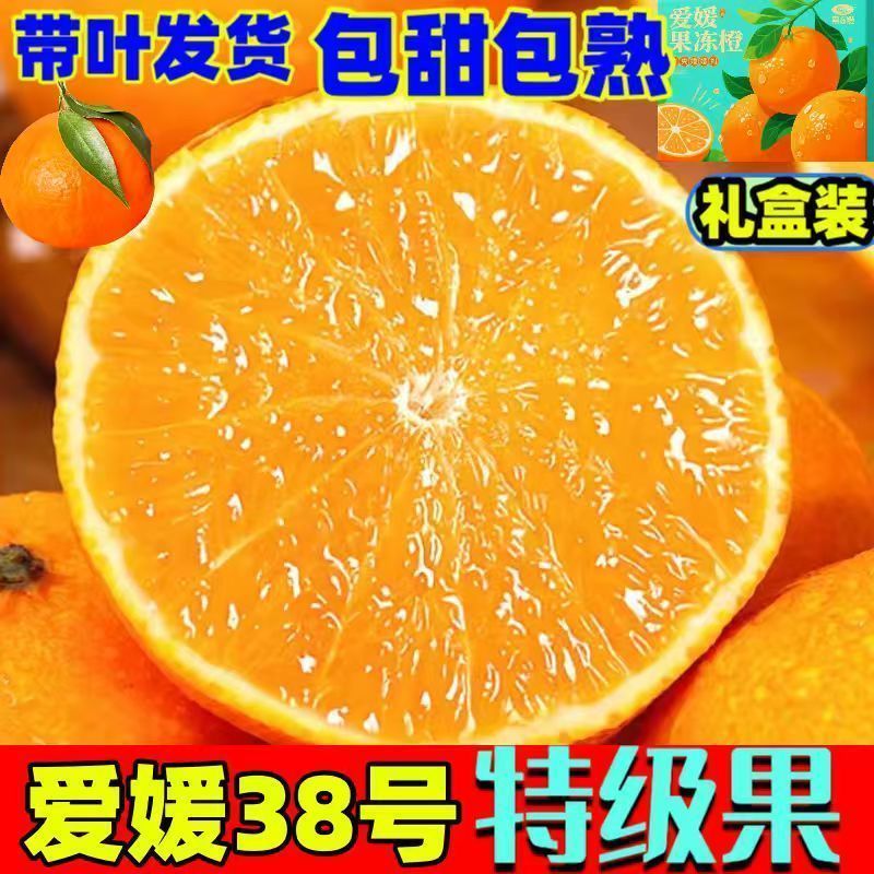 四川眉山丹棱爱媛38号果冻橙