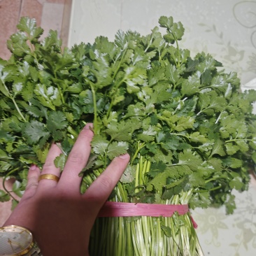铁杆青大量上市需要老板说话