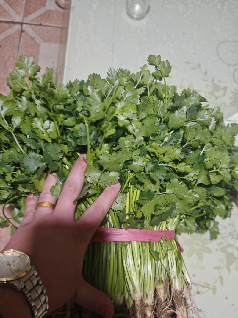 铁杆青大量上市需要老板说话