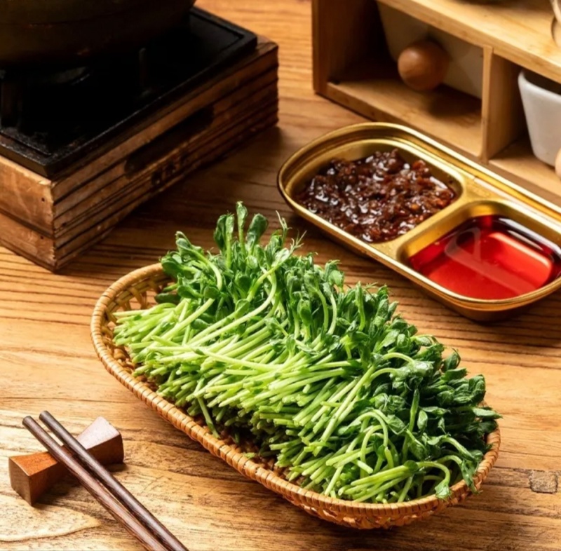 豌豆苗