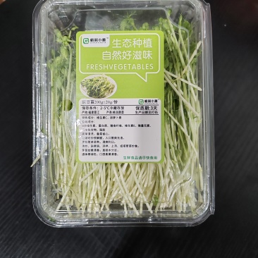 豌豆苗